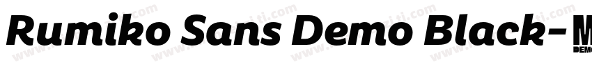 Rumiko Sans Demo Black字体转换